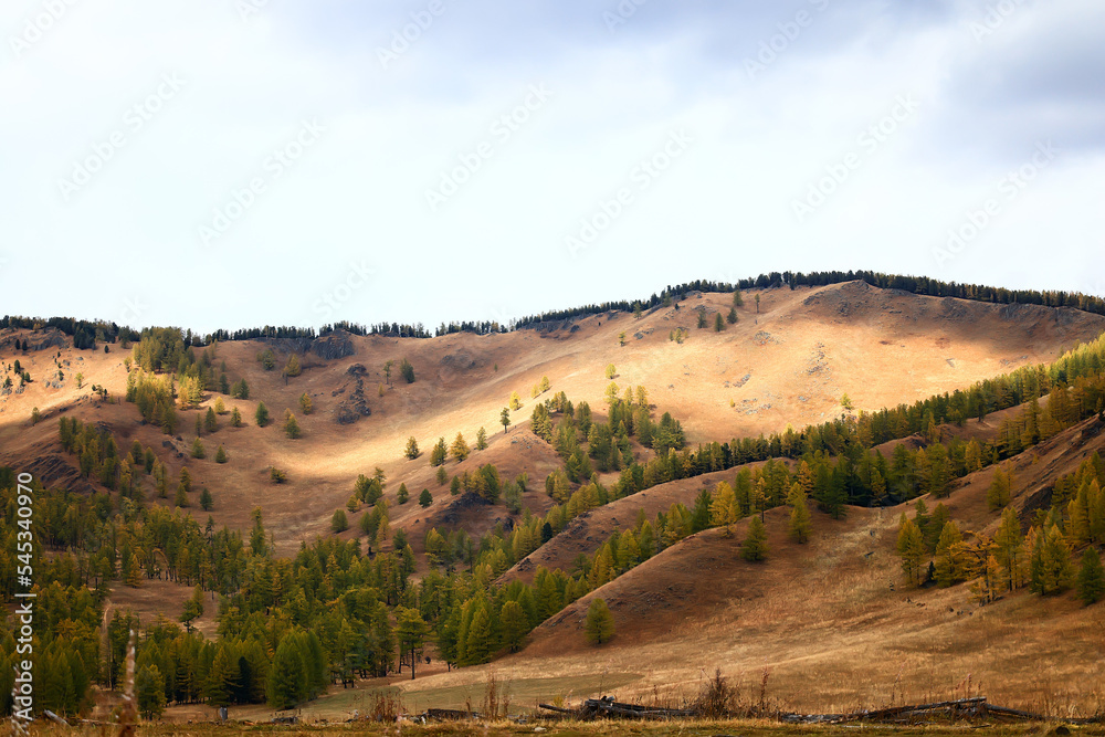 Naklejka premium altai mountain steppe landscape scenery nature russia