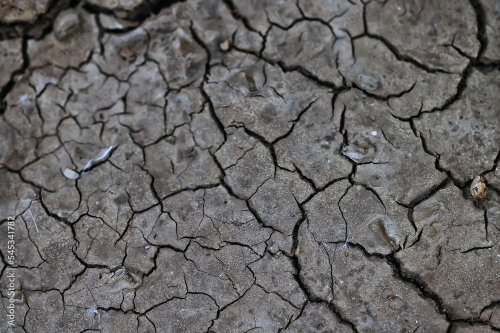 cracks on the ground desert texture background earth climate ecology cracks on the ground desert texture background earth climate ecology
