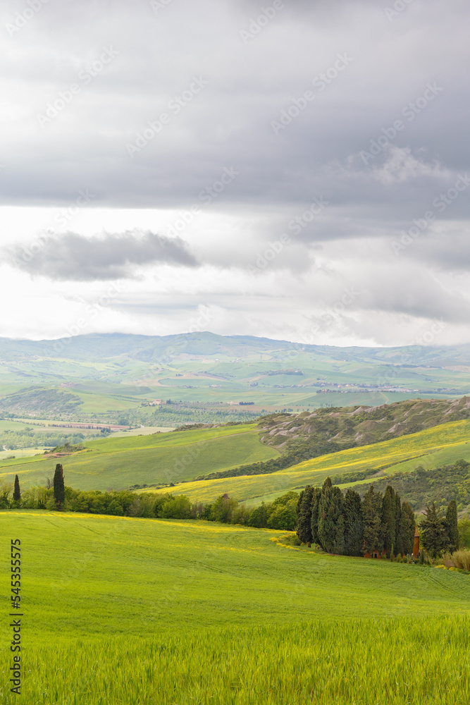 View of a valley of fields and cypress trees in Tuscany View of a valley of fields and cypress trees in Tuscany
