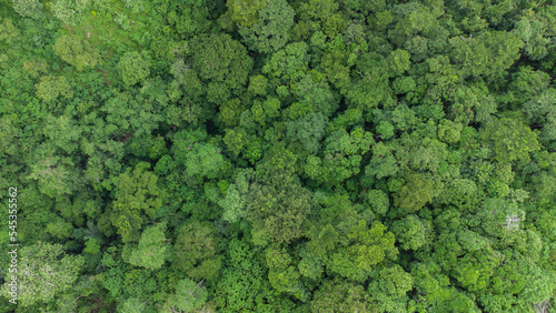 Aerial photo of tropical forest in Aceh Province, Indonesia.  © Azmil