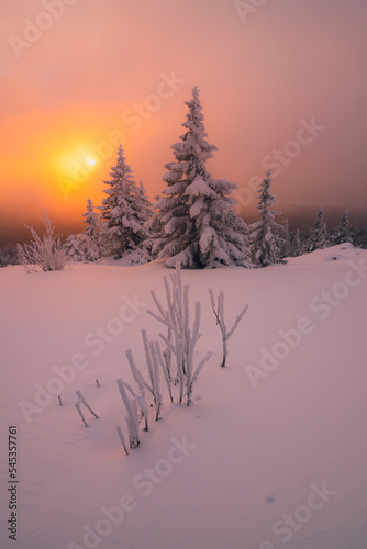 Rising sun in the cloudy sky over snow-covered fir trees on a mountaintop on a winter morning. Zuratkul National Park.
