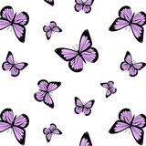 Butterfly  seamless pattern on purple and pink colours for decoration design. Closeup design element black butterfly. Vector illustration	
