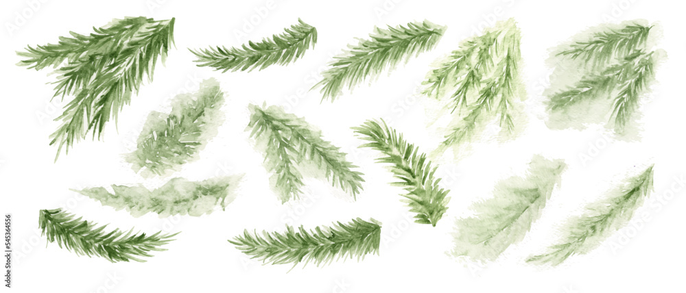 Pine branch, evergreen tree, fir, cedar watercolor. Winter green plants, holiday decoration. - obrazy, fototapety, plakaty 