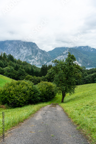 Forest landscape at the Traunsee, Austria © DZiegler