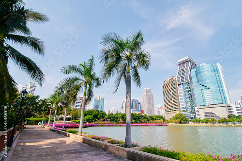 Modern megalopolis. City park with skyscrapers on the background. Bangkok Thailand. © luengo_ua