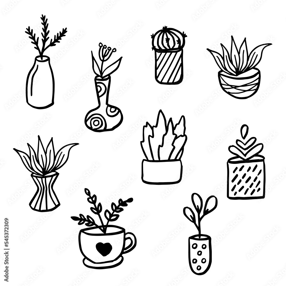 Set of Flowers in pots painted black line on a white background. Vector drawing lines
