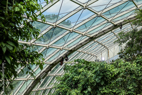 Green trees under glass dome in botanical garden