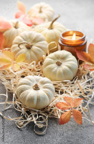 Autumn leaves and pumpkins over grey concrete background