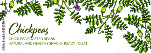 Colorful horizontal chickpeas design. Hand drawn illustration in colored sketch style. Botany design for packaging, label, banner, poster