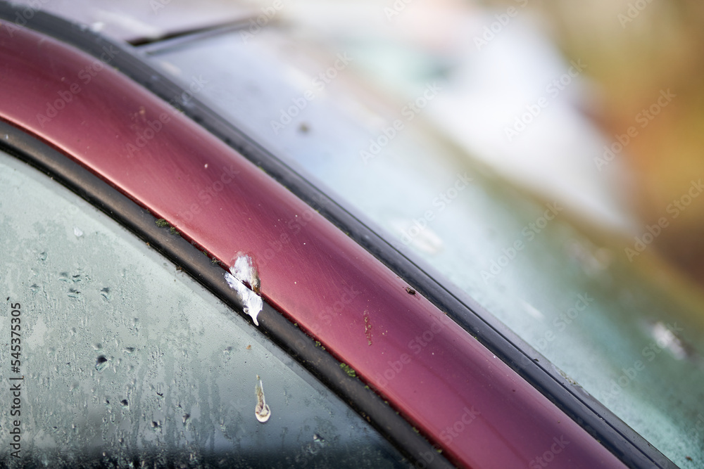 Foto de Bird droppings (Vogelkot) on vehicle. Feces from animals cause