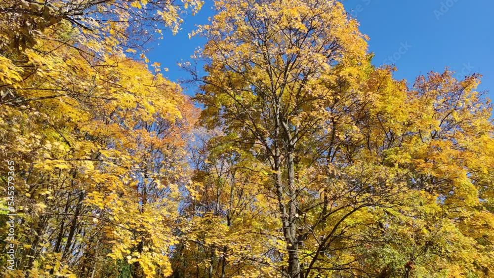 Amazing Autumn view of South Park in city of Sofia, Bulgaria