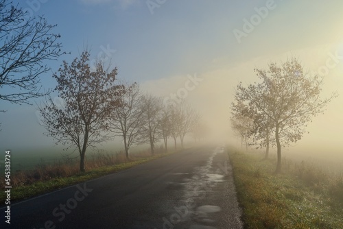 Autumn morning