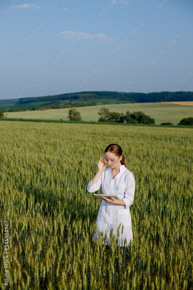 Scientist technologist in a white coat on a young wheat field writes down data on this year's crop on a smart tablet Scientist technologist in a white coat on a young wheat field writes down data on this year's crop on a smart tablet
