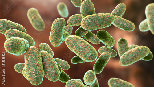 Bacteria Aggregatibacter, illustration