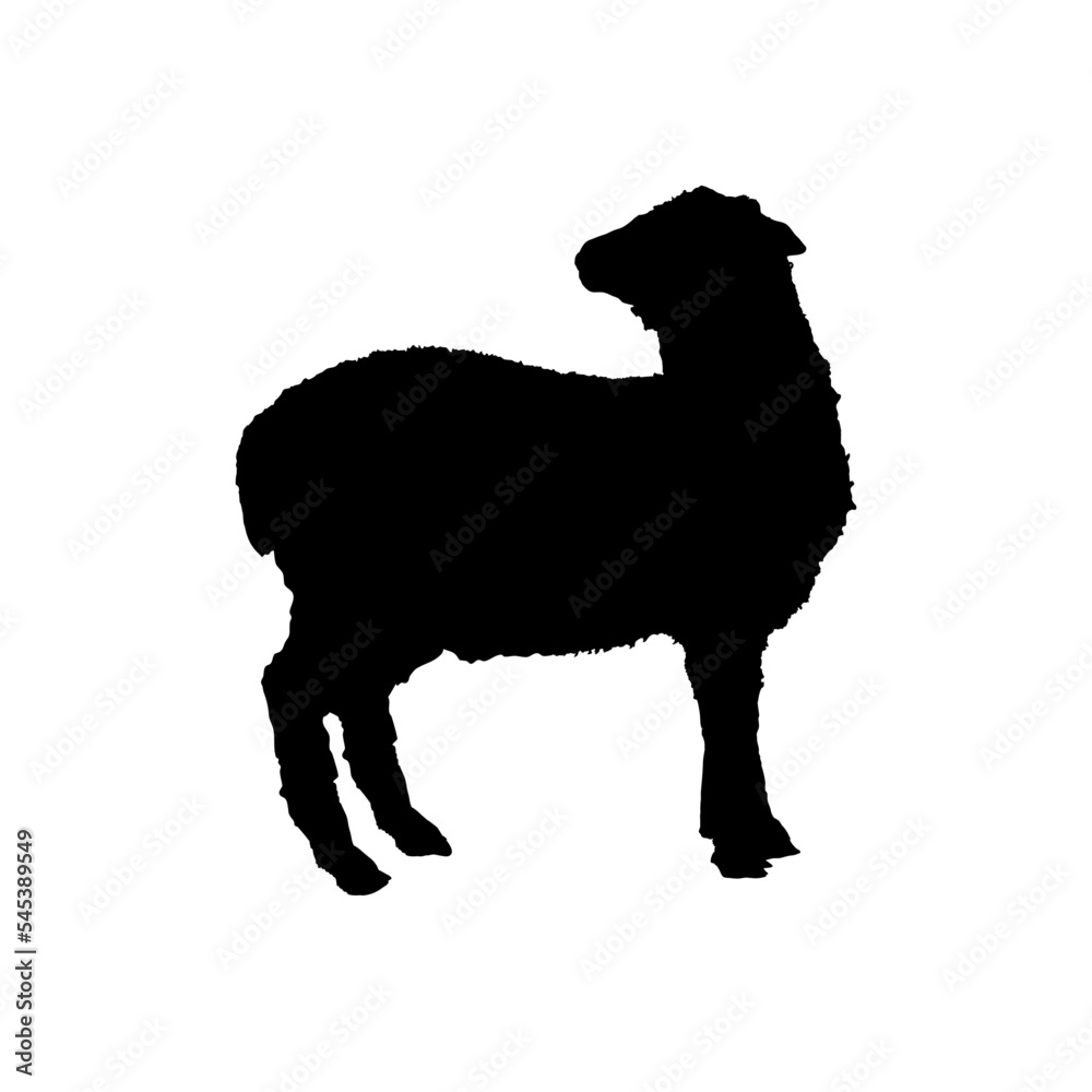  silhouette of sheep