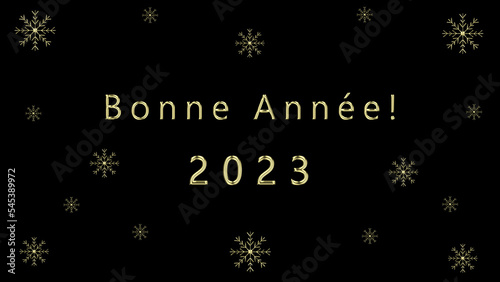 Bonne Année 2023. French greetings for New Year. 