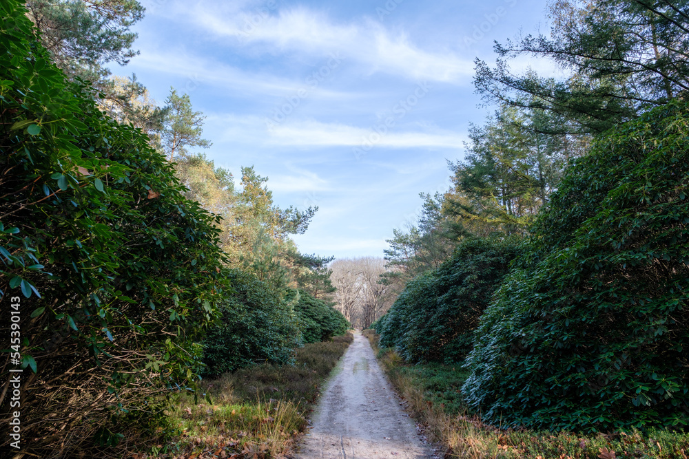 Nature reserve Sallandse Heuvelrug Nature reserve Sallandse Heuvelrug