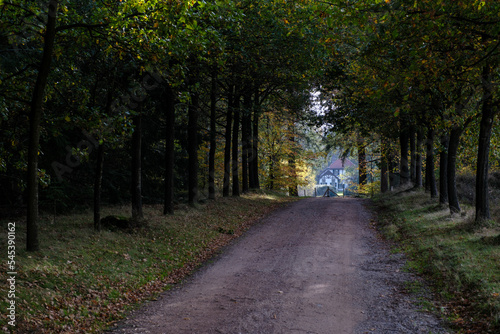 Nature reserve Sallandse Heuvelrug