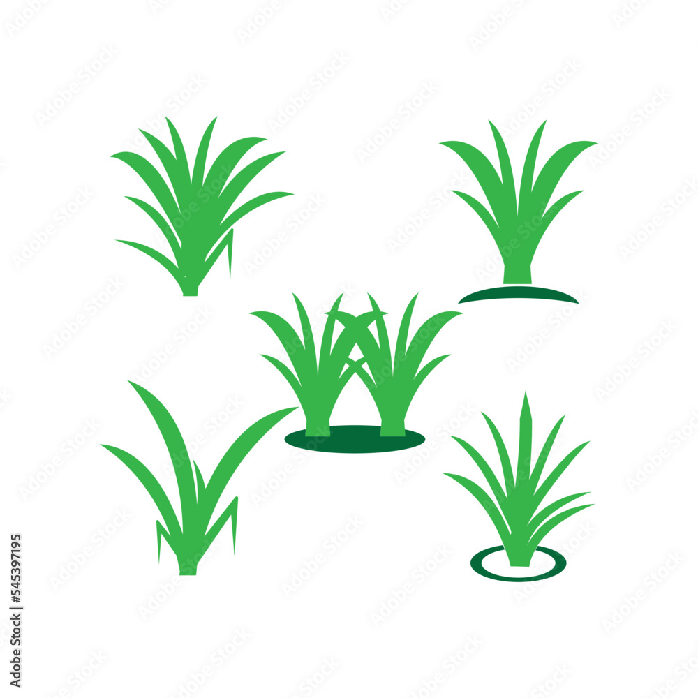 Fototapeta premium grass icon