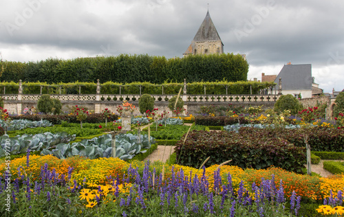 parc et jardin du Château de Villandry, célèbre château de la Loire en touraine en été 