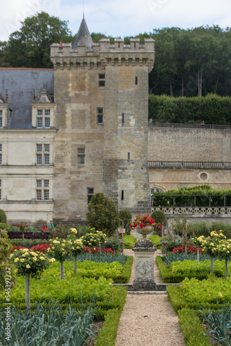 parc et jardin du Château de Villandry, célèbre château de la Loire en touraine en été 