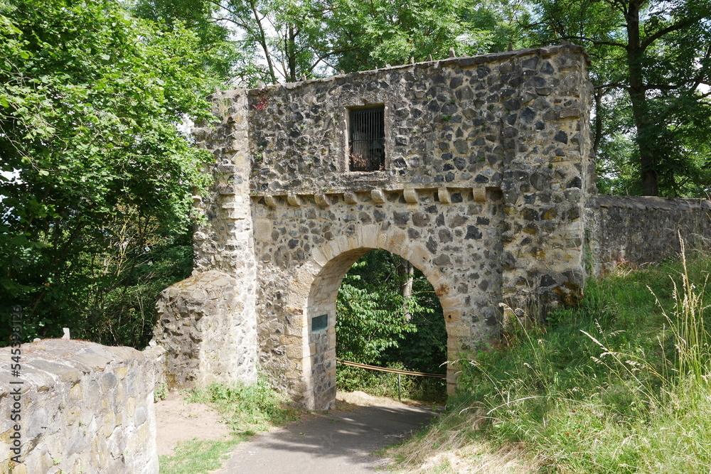 Burgtor Burg Heiligenberg