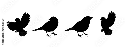 set of silhouettes of sparrows, silhouettes of birds
