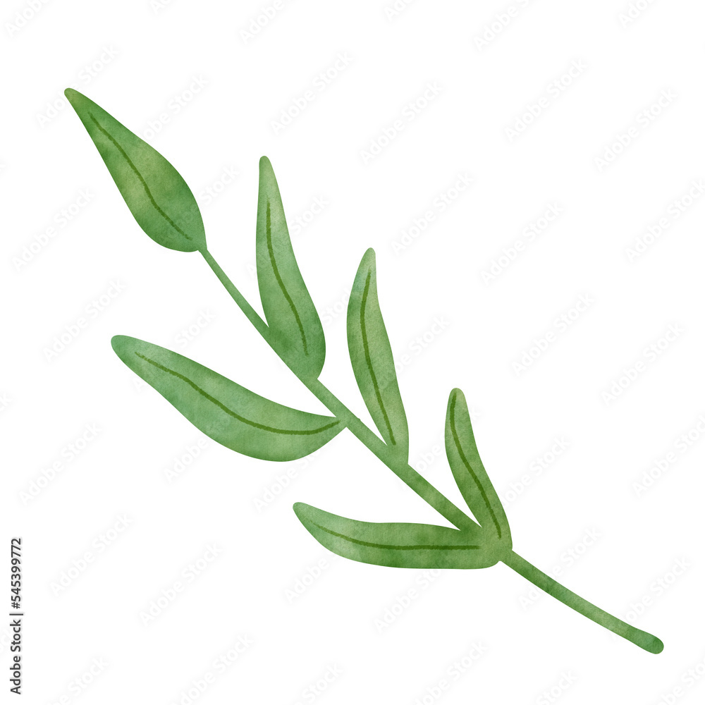 Fototapeta premium Green leaves plant watercolor illustrations isolated on white