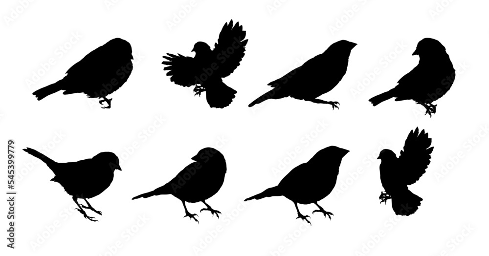 Fototapeta premium set of silhouettes of sparrows, silhouettes of birds