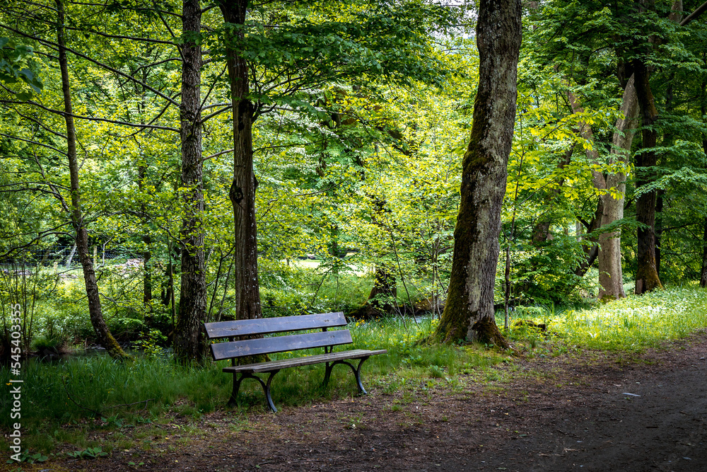 Banc dans un parc boisé