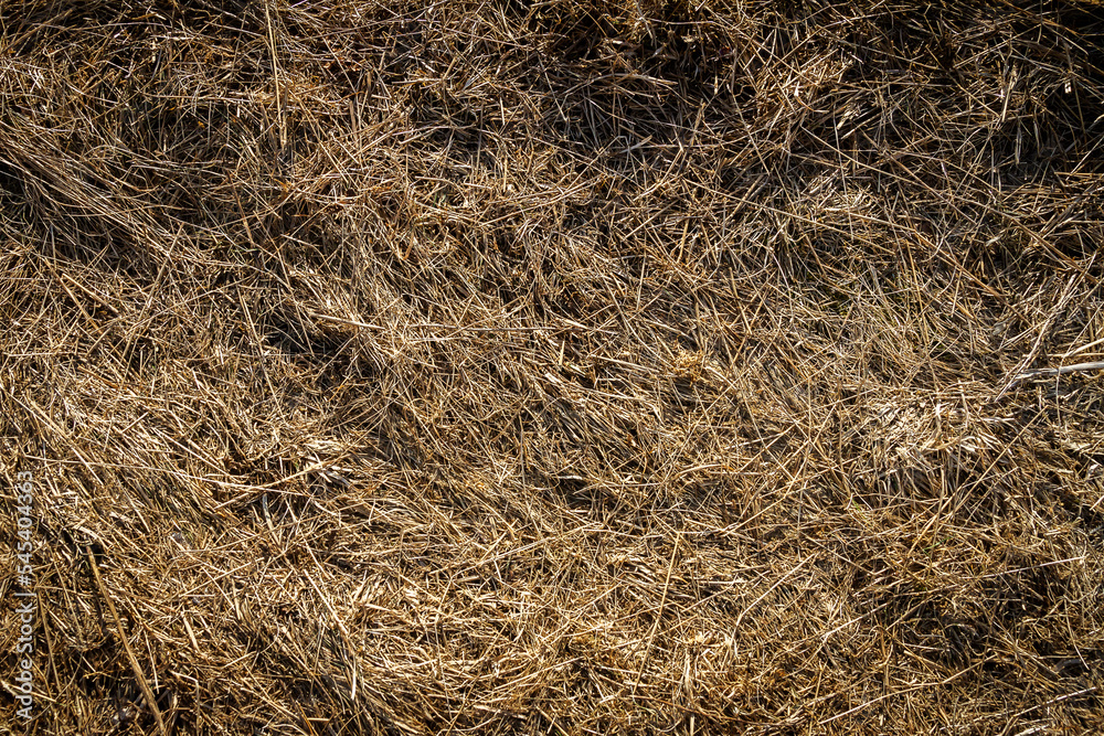 Closeup of old aged dry grass straw texture background Closeup of old aged dry grass straw texture background