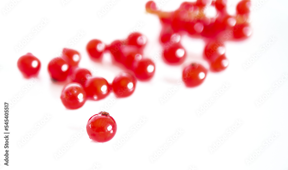 A bunch of red currants on a white background A bunch of red currants on a white background