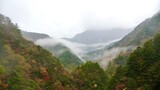 大井川鐵道あぷとラインから見える紅葉と霧