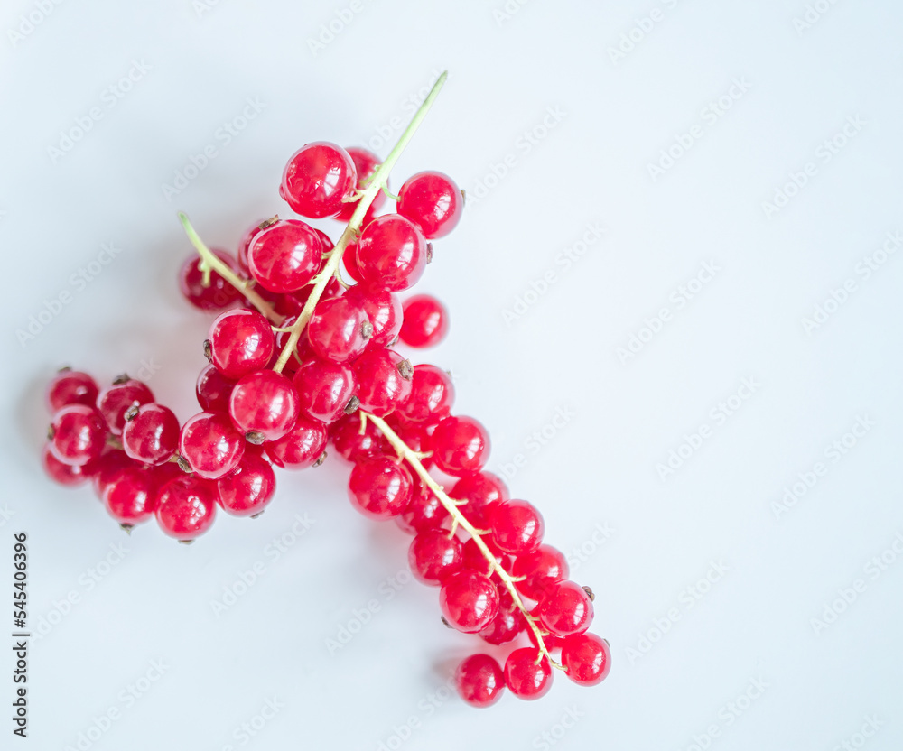 Group of red and wet currants on a white background Group of red and wet currants on a white background