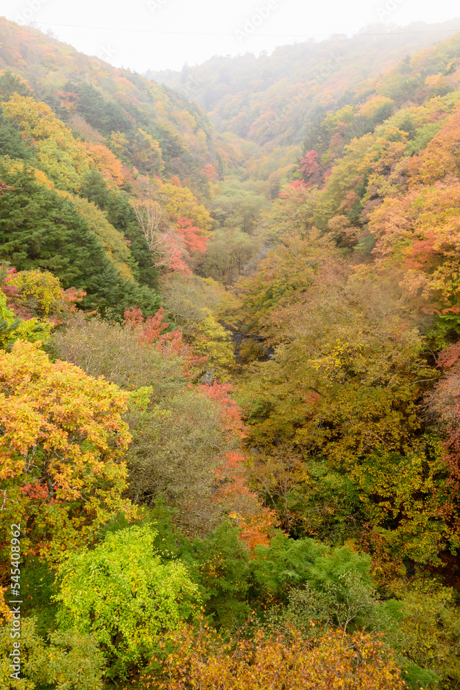 東沢橋 紅葉 東沢橋 紅葉
