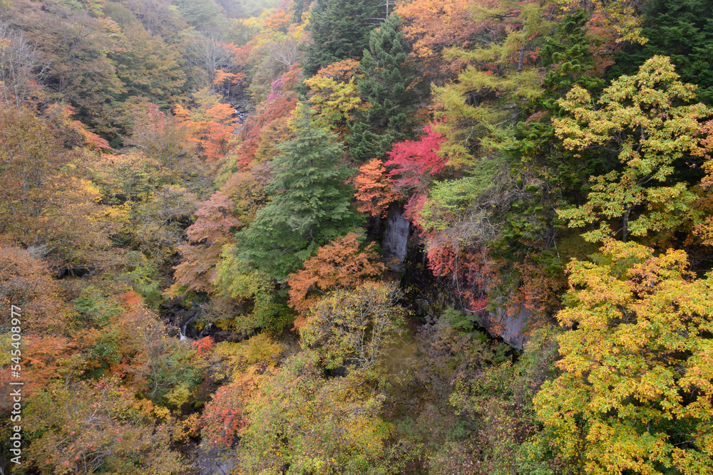 東沢橋　紅葉