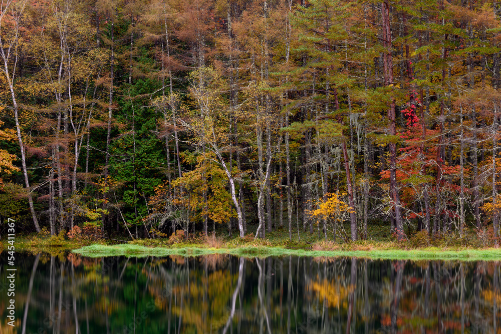 御射鹿池　紅葉