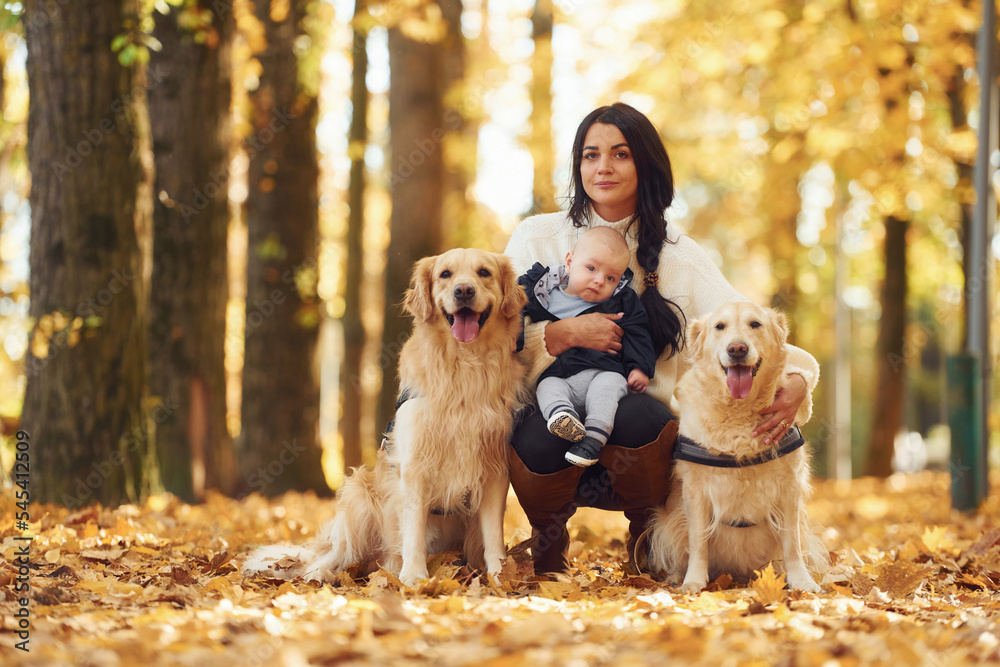 Sitting on the ground. Mother with toddler and with two dogs are in the autumn forest Sitting on the ground. Mother with toddler and with two dogs are in the autumn forest