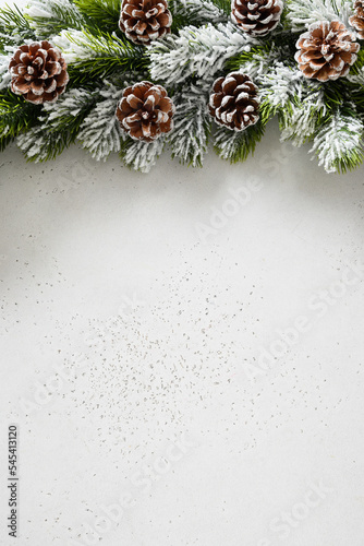 Obraz na płótnie Christmas snowy fir tree branches, pine cone on white background. Xmas vertical greeting card. Space for text. w salonie