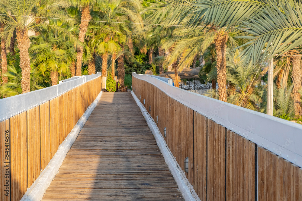 Wooden bridge leading to the palm grove.