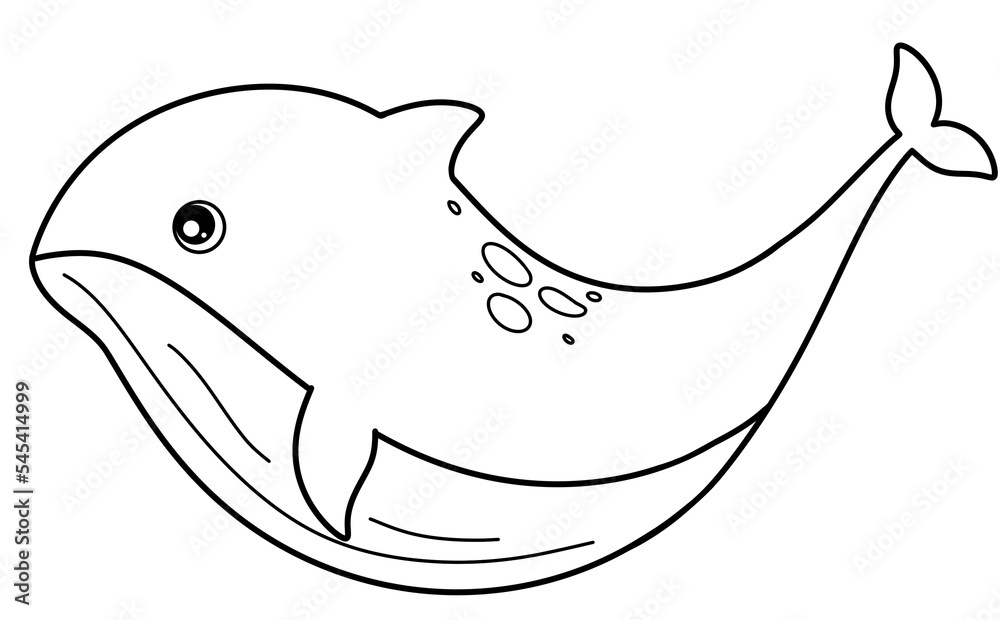 Whale Outline