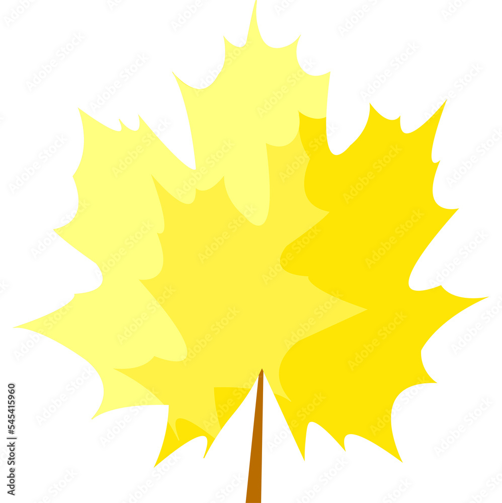 Maple leaf Maple leaf