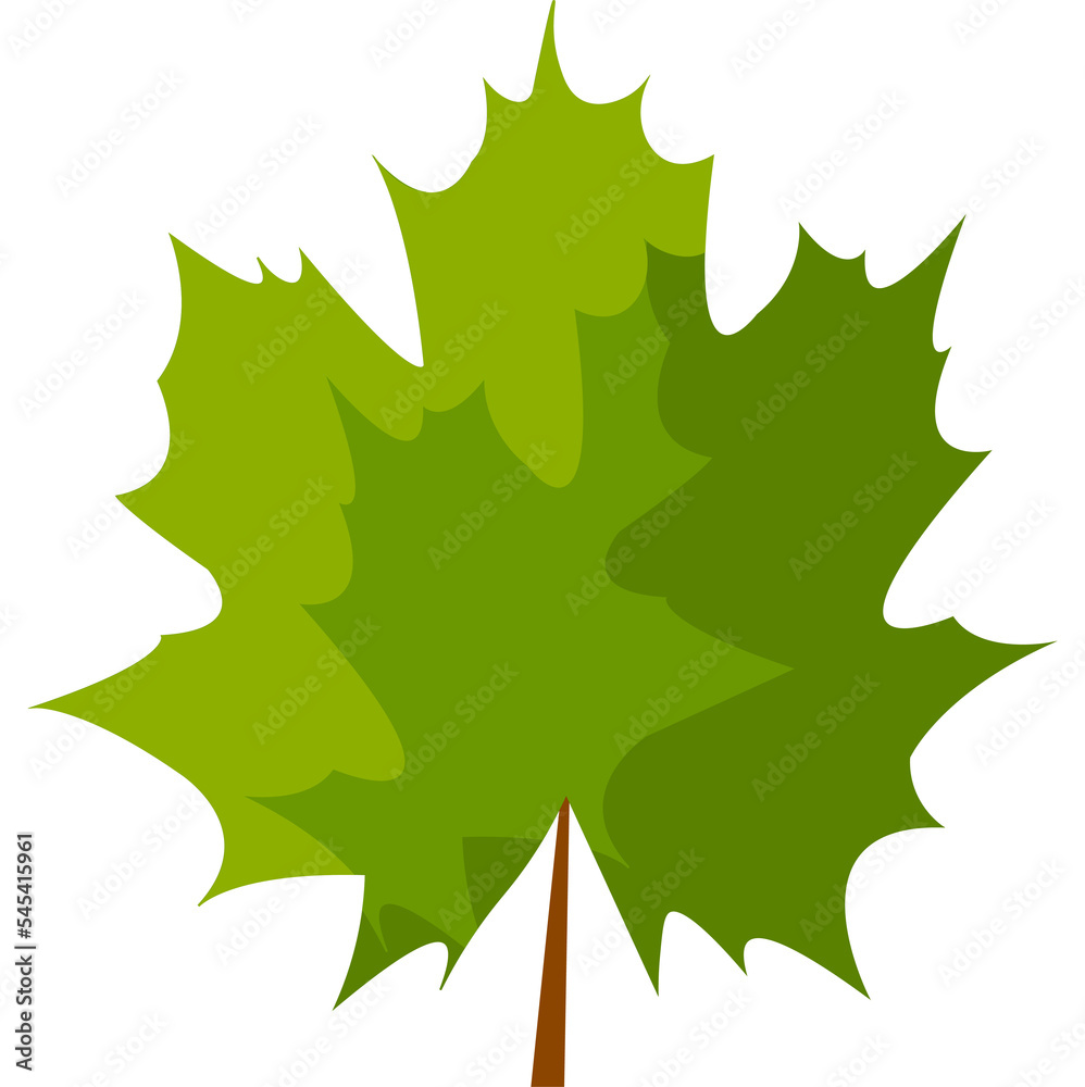 Fototapeta premium Maple leaf