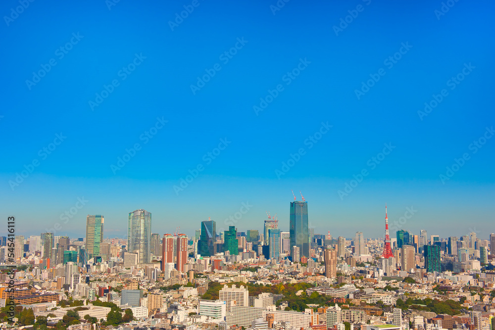 Tokyo City Panorama View Japan