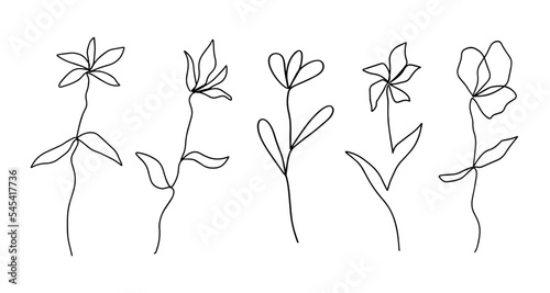 Set of monoline flowers