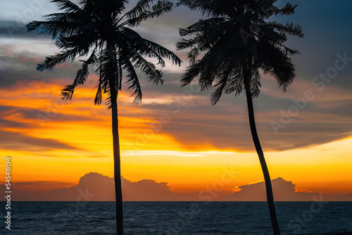 silhouette of coconut trees by the beach during golden sunset.