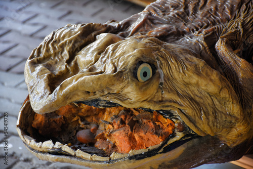 close up of the scary mouth of a dried and stuffed dangerous fish photo