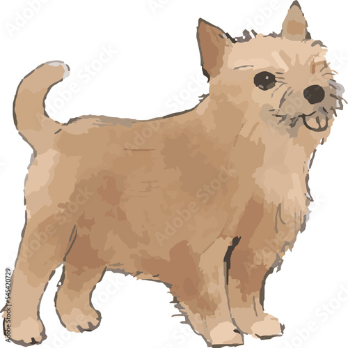 ヨークシャテリア犬の手描き風イラスト