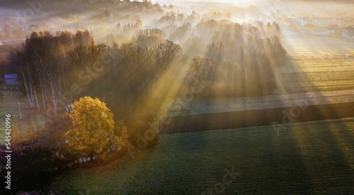 Poranny widok pól o wsi z promieniami słońca jesienią