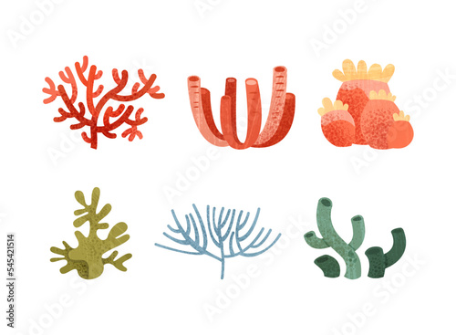 Colorful Coral as Marine Invertebrate from Ocean Bottom Vector Set